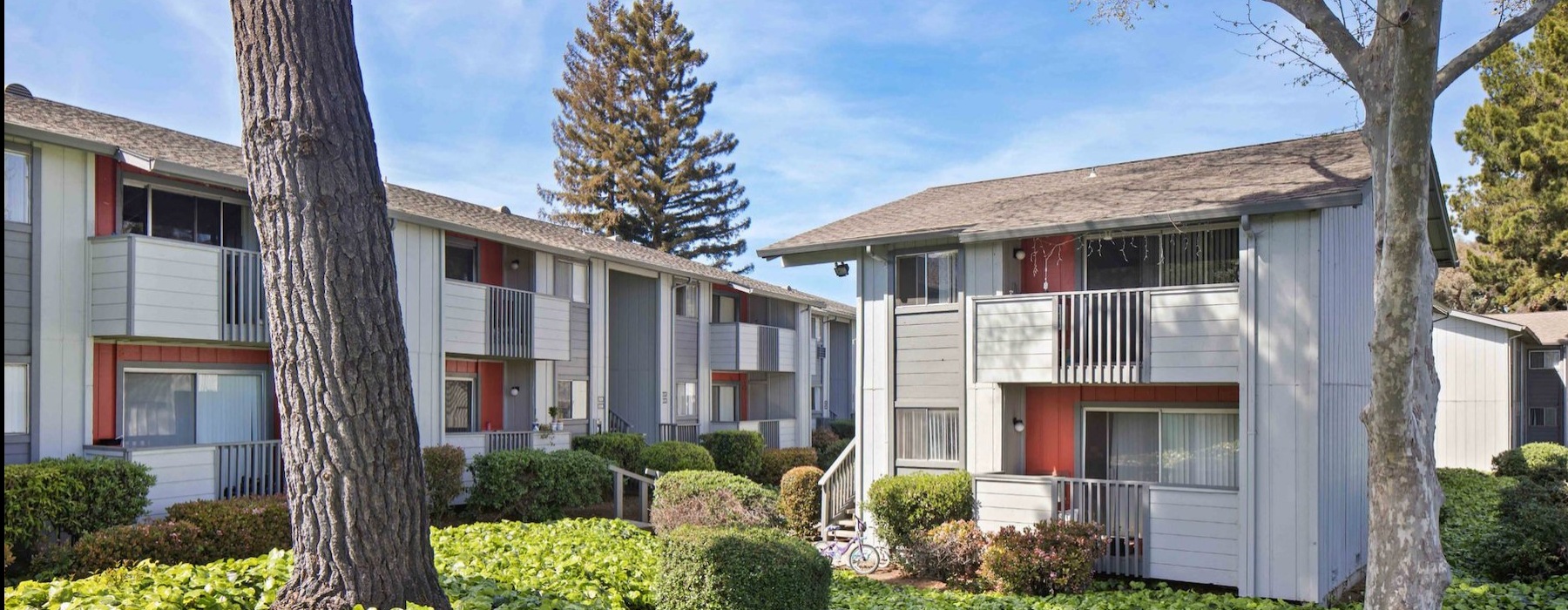 buildings with trees and bushes around it